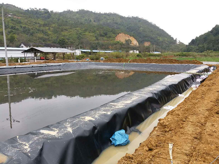 魚(yú)塘里用土工膜做防滲層需不需要回填土壤？